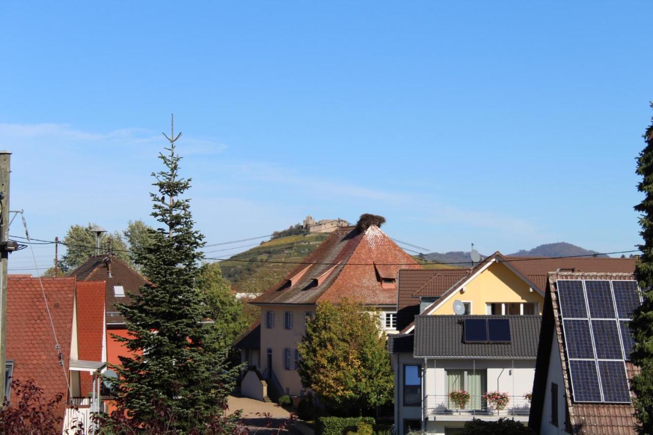 Ferienwohnung Im Weingewoelbe Staufen im Breisgau Eksteriør bilde